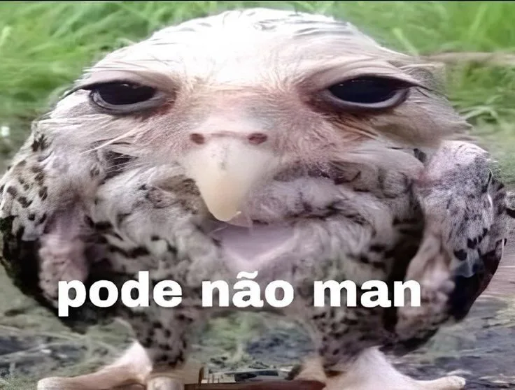 Imagem anexada ao comentário